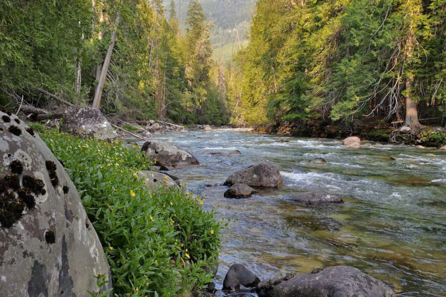 McDonald Creek - Go Camping BC