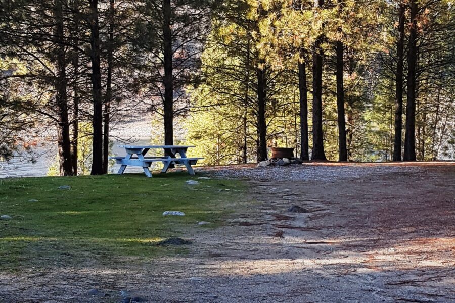 Beaver Creek Go Camping BC   Beaver Creek Campsite Copy 900x600 