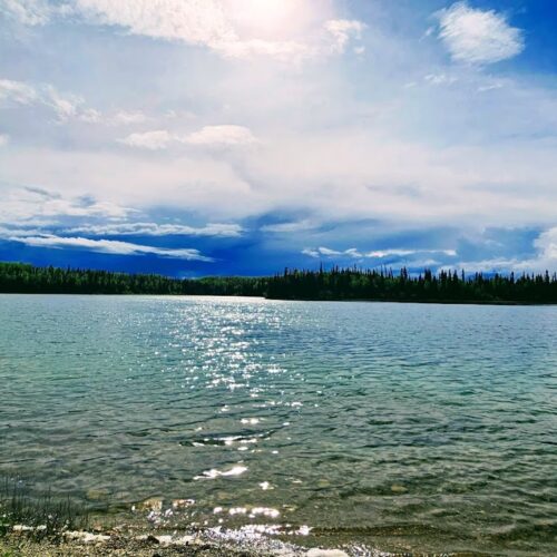 Heather-Dina Provincial Park ©Matt Langdon