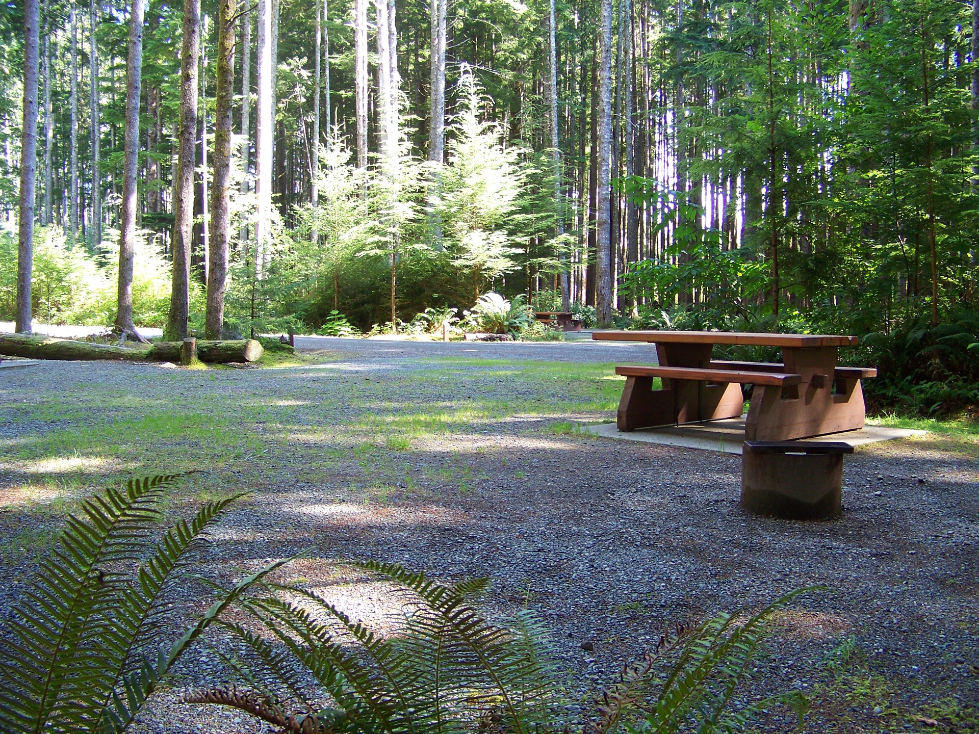 Juan de Fuca/China Beach ©BC Parks Go Camping BC